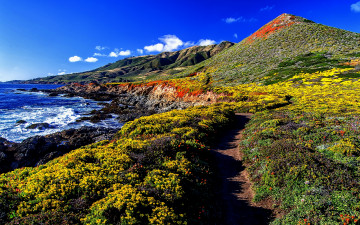 Картинка природа побережье океан тропинка трава холмы