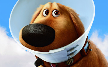 Картинка вверх мультфильмы up собака