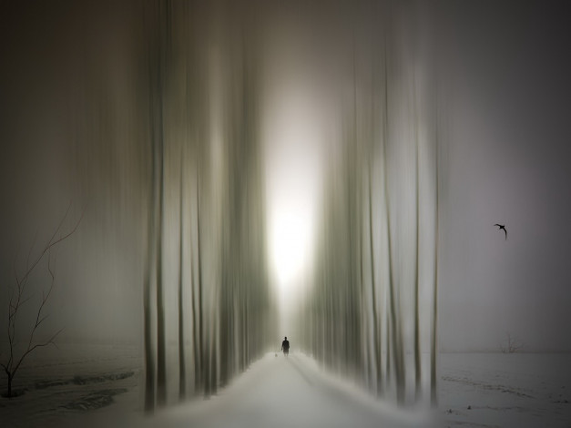 Обои картинки фото разное, компьютерный, дизайн, алея, деревья, человек