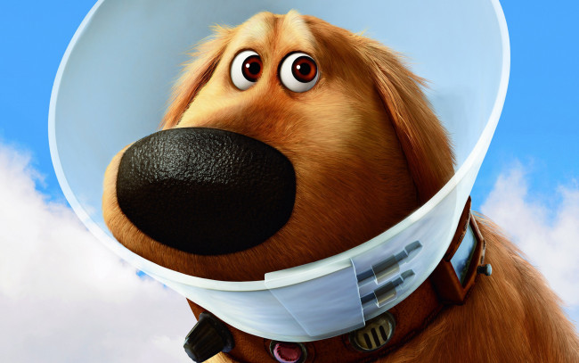 Обои картинки фото вверх, мультфильмы, up, собака