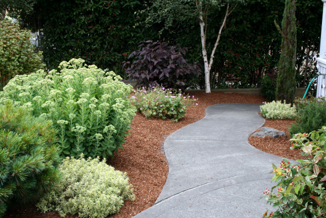 Обои картинки фото природа, парк, растения