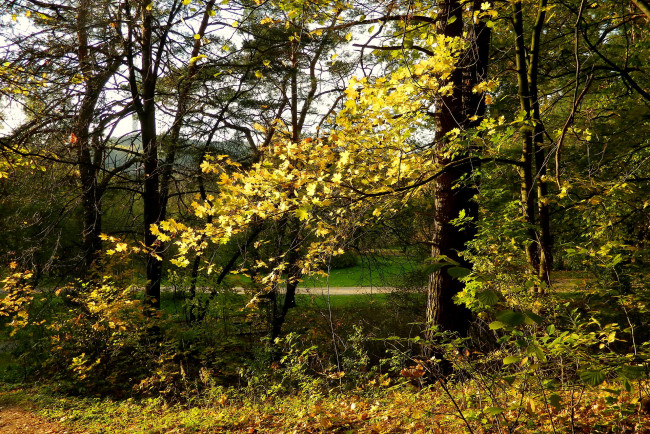 Обои картинки фото vingio, parkas, вильнюс, природа, парк