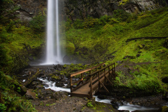Картинка природа реки озера вода поток мостик