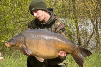 Картинка животные рыбы рыба