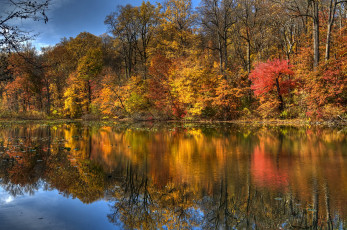 Картинка природа реки озера отражение