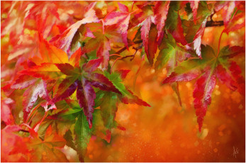 Картинка рисованные природа листья осень