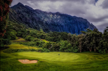 Картинка природа пейзажи трава лес горы поляна