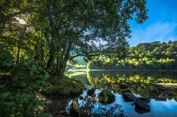 Картинка природа реки озера пейзаж