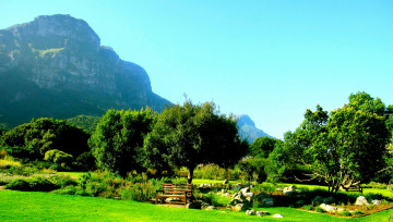 Картинка kirstenbosch national botanic garden south africa природа парк деревья клумбы скамейка горы африка