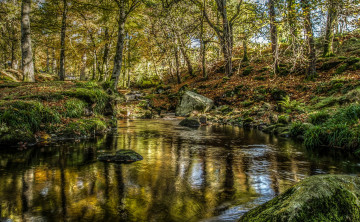 Картинка природа реки озера река лес