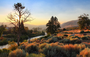 Картинка природа реки озера деревья река трава горы