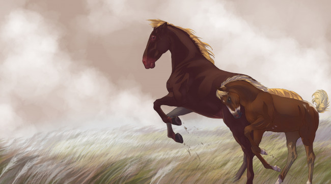 Обои картинки фото рисованные, животные, лошади, лошадка
