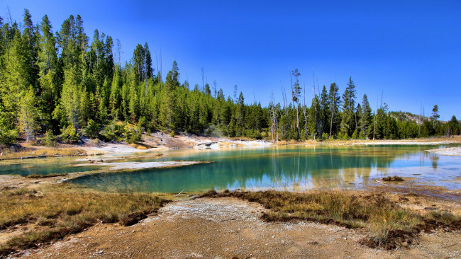 Обои картинки фото природа, реки, озера, озеро, лес, отмель, трава