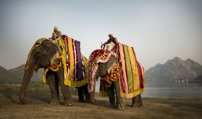 Обои картинки фото животные, слоны, попоны, погонщики