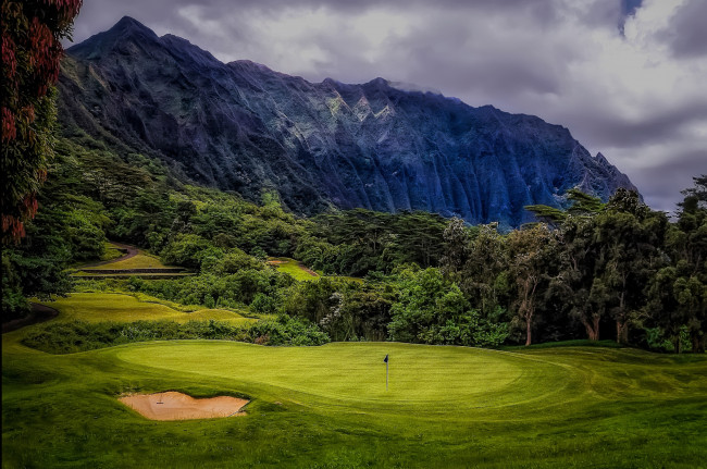 Обои картинки фото природа, пейзажи, трава, лес, горы, поляна