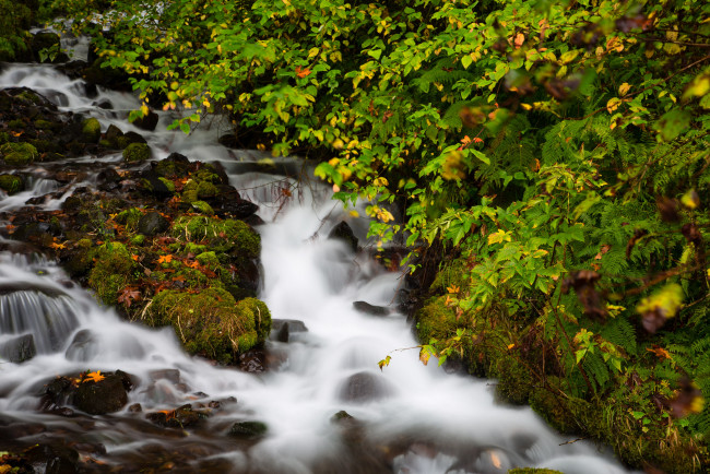 Обои картинки фото природа, реки, озера, вода, поток