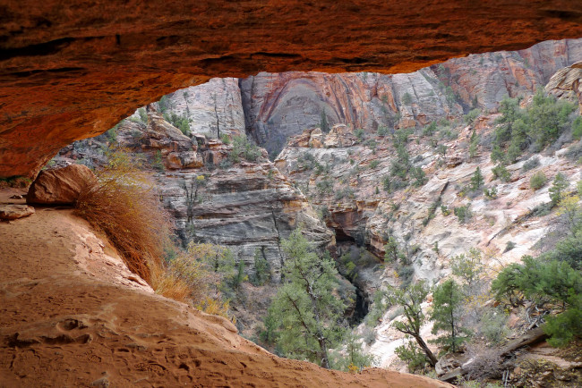 Обои картинки фото zion, national, park, utah, природа, горы