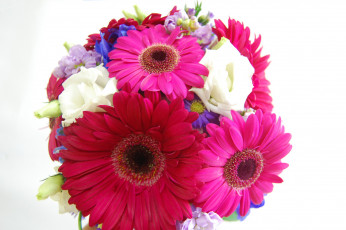 Картинка цветы букеты +композиции букет эустома герберы