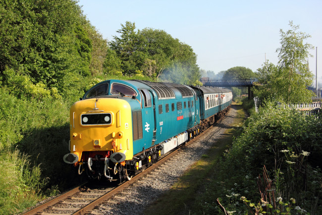 Обои картинки фото техника, поезда, состав, локомотив, дорога, железная