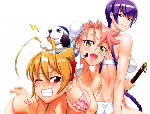 Картинка аниме highschool+of+the+dead busujima saeko miyamoto rei takagi saya