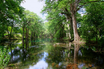 Картинка природа реки озера лес река