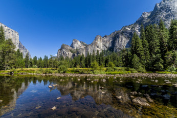 Картинка природа реки озера река лес