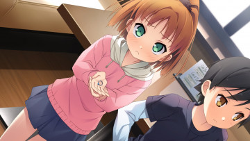 Картинка аниме your+diary девушка фон взгляд