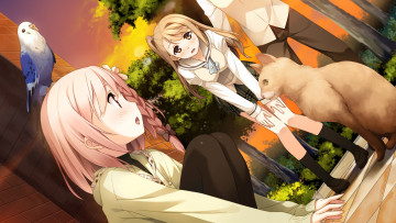 Картинка аниме your+diary фон взгляд девушка