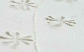 Картинка текстура разное текстуры песок