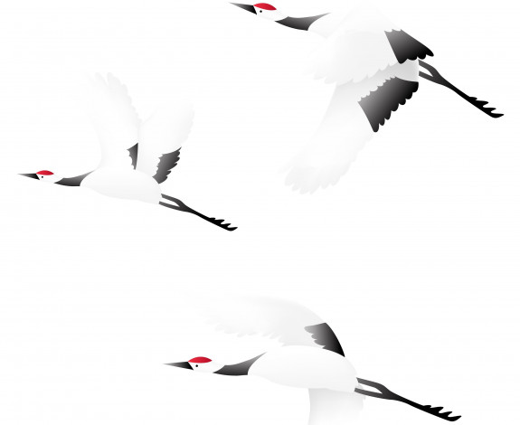 Обои картинки фото векторная графика, животные , animals, аисты