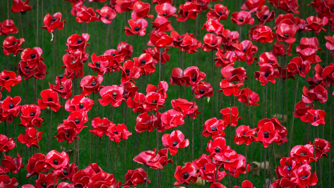 Обои картинки фото разное, ремесла,  поделки,  рукоделие, керамические, маки