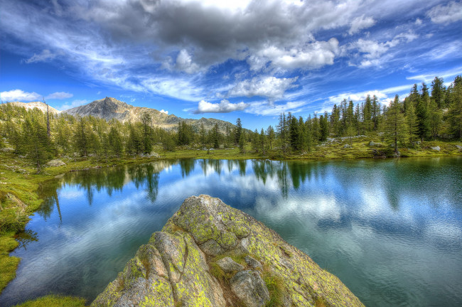 Обои картинки фото природа, реки, озера, лес, река