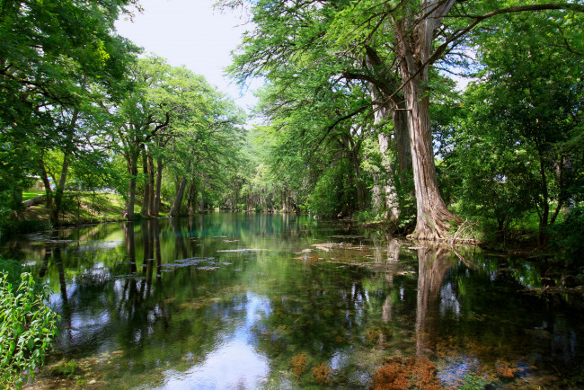 Обои картинки фото природа, реки, озера, лес, река