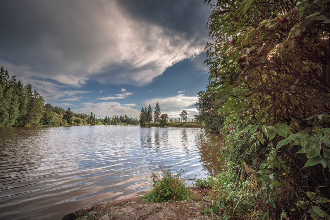Обои картинки фото природа, реки, озера, лес, река