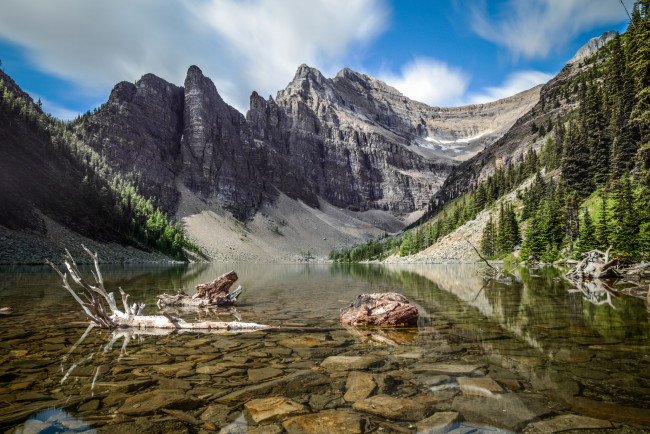 Обои картинки фото природа, реки, озера, лес, река