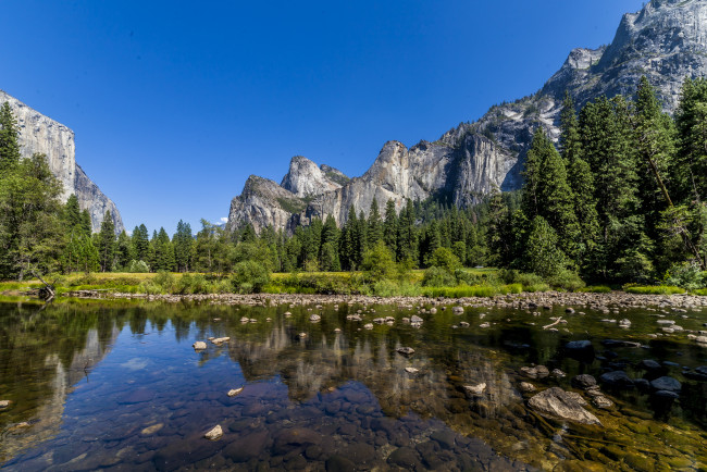 Обои картинки фото природа, реки, озера, река, лес