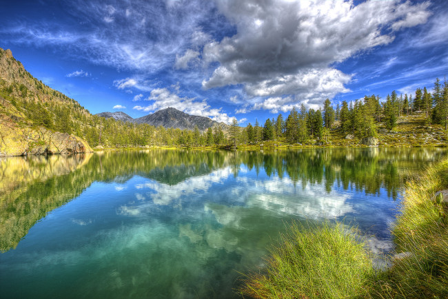 Обои картинки фото природа, реки, озера, река, лес