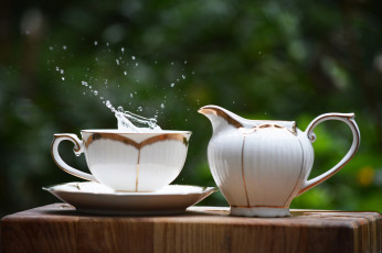 Картинка еда натюрморт снедь