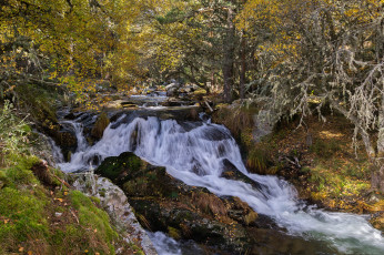 Картинка природа реки озера простор