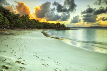 Картинка природа тропики простор