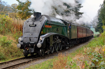 Картинка техника паровозы состав локомотив