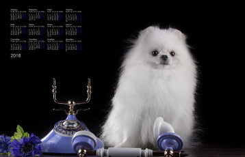 Картинка календари животные телефон взгляд белый цвет собака 2018