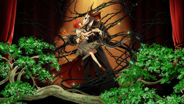 Картинка аниме mahou+tsukai+no+yome невеста чародея