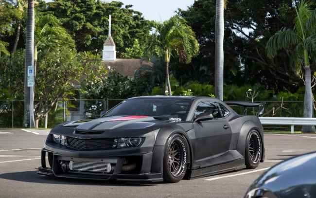 Обои картинки фото автомобили, camaro