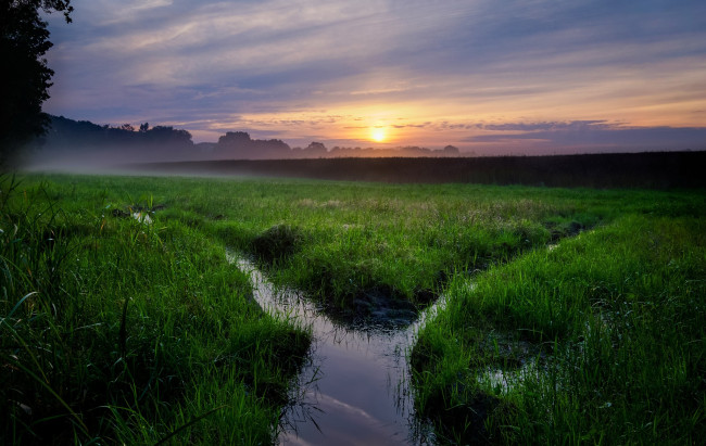 Обои картинки фото природа, восходы, закаты, туман, поле, закат