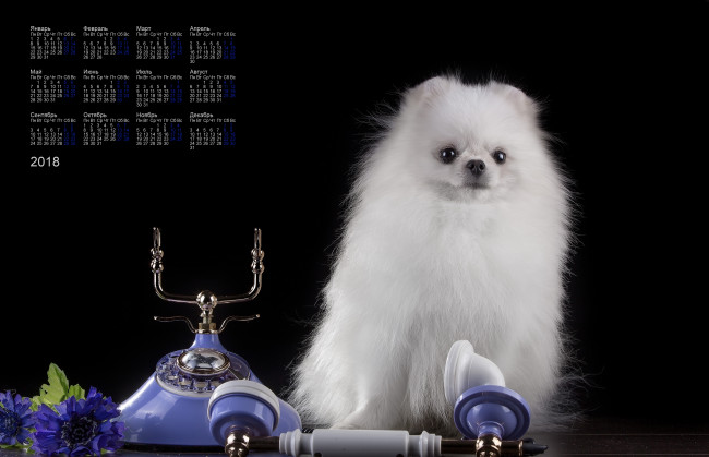 Обои картинки фото календари, животные, телефон, взгляд, белый, цвет, собака, 2018