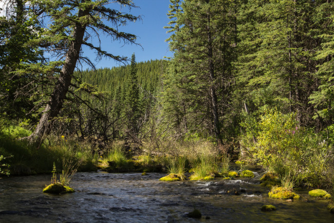 Обои картинки фото природа, реки, озера, простор