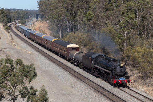 Обои картинки фото техника, паровозы, состав, локомотив