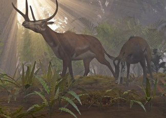 Картинка 3д+графика животные+ animals животные