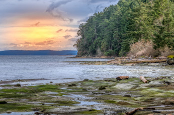 Картинка природа побережье простор